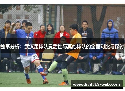 独家分析：武汉足球队灵活性与其他球队的全面对比与探讨