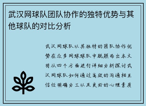 武汉网球队团队协作的独特优势与其他球队的对比分析